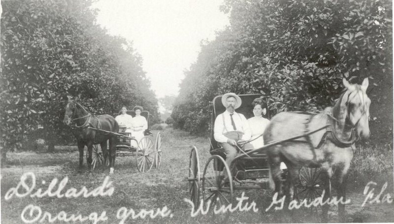 James Lafayette Dillard and Mabel Dillard at Dillard's Orange Groves