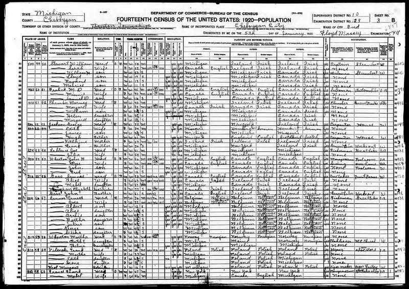 1920 Census Jackson.jpg