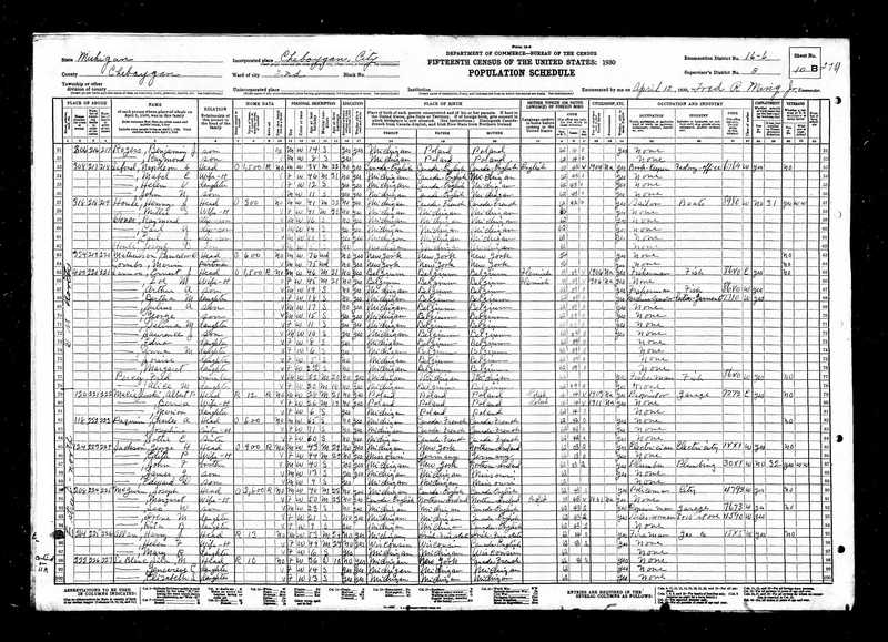 1930 Census Jackson.jpg