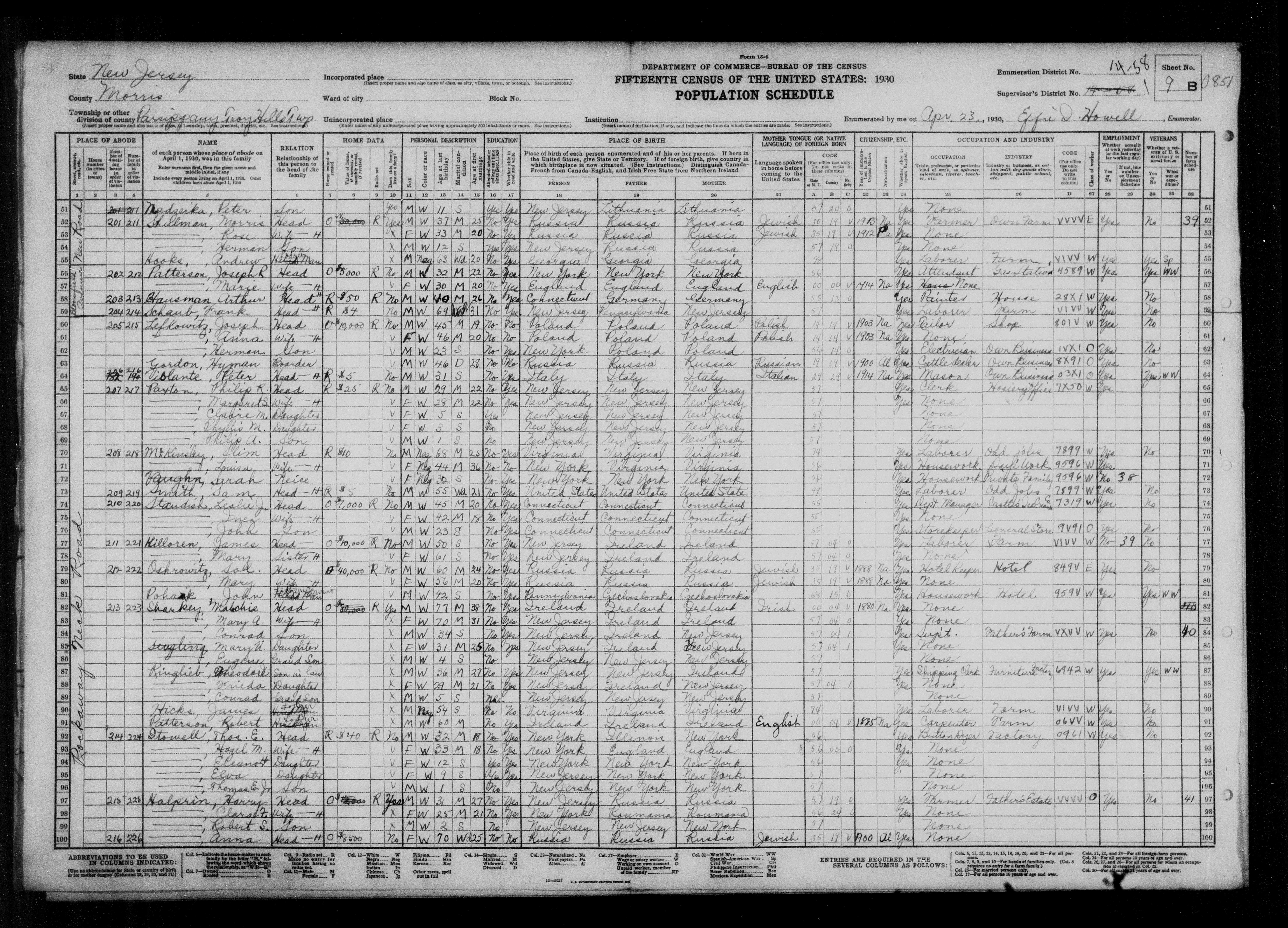 1930 US Census, Peter Nadzeika, line 51