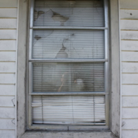 https://richesmi.cah.ucf.edu/oarchive/IMG_9950.JPG