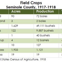 Field Crops, Seminole County, 1917-1918