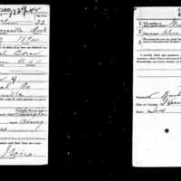 WWI draft registration card for Rufe Goins.jpg