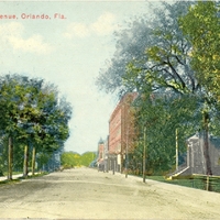 Orange Avenue, Orlando, Fla. Postcard
