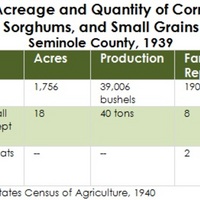 Acreage and Quantity of Corn, Sorghums, and Small Grains, Seminole County, 1939