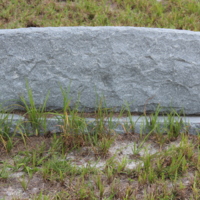 Headstone of Fannie F. Daniels at Viking Cemetery