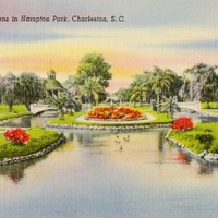 Sunken Gardens in Hampton Park Postcard