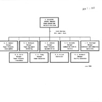 Westinghouse Electric Power Generation Projects Division Organizational Charts