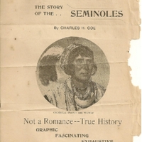 Red Patriots: The Story of the Seminoles