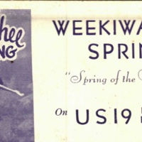 Weekiwachee Spring