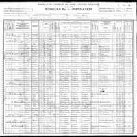 1900 US Federal Census for Mary Sutherland.jpg