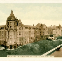 Museum of Natural History Postcard