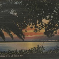 Sunrise Over Indian River Postcard