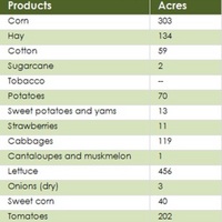 Acreage of Principle Crops, Seminole County, 1924