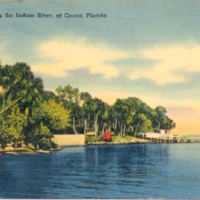 Docks Along the Indian River Postcard