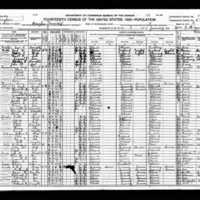 1920 US Census for Dale Davis's family, Ancestry.jpg