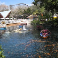 Bird Gardens at Busch Gardens Tampa, 2010