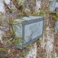 Headstone of Elmore W. Nelson at Viking Cemetery