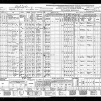 census halligan.jpg