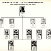 Westinghouse Electric Generation Technology Systems Division Organizational Chart