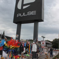 Pulse Sign