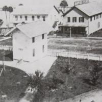 Palmetto Avenue, 1882