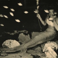 Weeki Wachee Mermaid Posing Underwater in Costume Tail