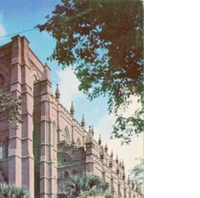 Cathedral of St. John the Baptist Postcard