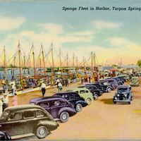Sponge Fleet in Harbor Postcard