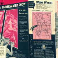 Weeki Wachee Springs Brochure, c. 1950s
