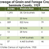 Acreage and Production of Grain Crops, Seminole County, 1929