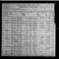 Twelfth Census Population for Alachua County, Florida, 1900