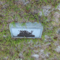 Headstone of Frank M. Daniels at Viking Cemetery