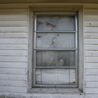 https://richesmi.cah.ucf.edu/oarchive/IMG_9949.JPG