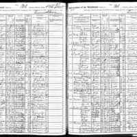 New York State Census, 1905, Max Blum, Ancestry.jpg