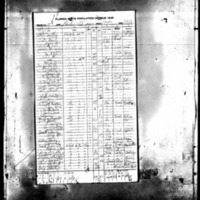 Fricks_1945 Census.jpg