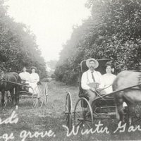 James Lafayette Dillard and Mabel Dillard at Dillard&#039;s Orange Groves