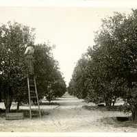Worker DeForest Grove
