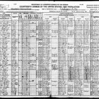 1920 Census Jackson.jpg