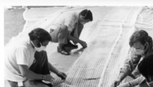 Underwater Testing Materials for the Skylab Heat Shield