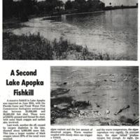 A Second Lake Apopka Fish Kill