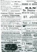 The South Florida Argus Advertisements (January 8, 1886)