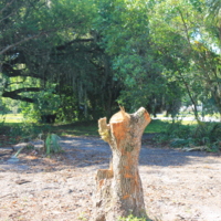https://richesmi.cah.ucf.edu/oarchive/IMG_0319.JPG