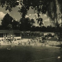 Weeki Wachee Springs Swimming Area, c. 1950s