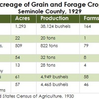 Acreage and Production of Grain Crops, Seminole County, 1929