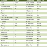 Farm Statistics, Orange County, 1904