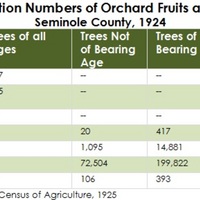 Production Numbers of Orchard Fruits and Nuts, Seminole County, 1924