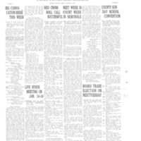 The Sanford Herald, January 10, 1919